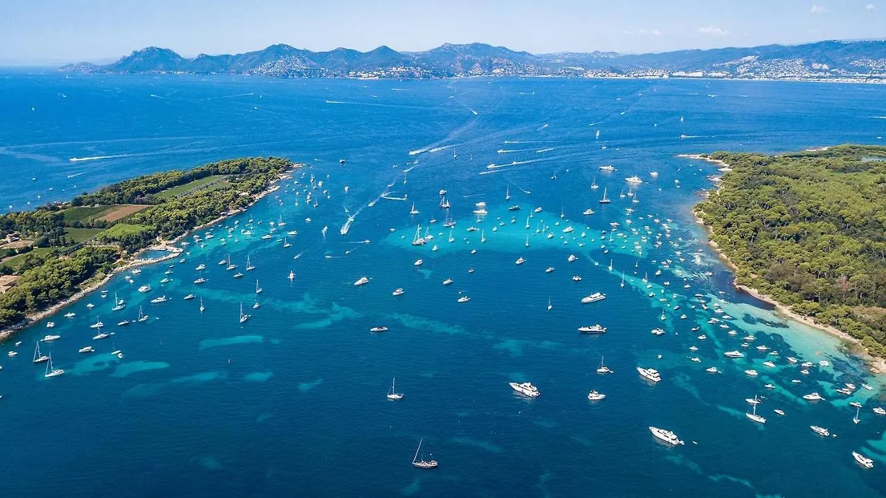Profitez Du Festival Du Soleil De Cannes